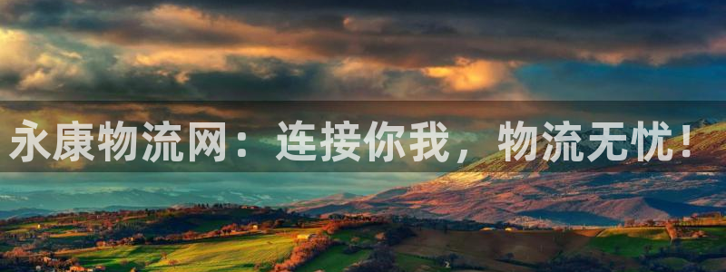 豪门国际p图上分下款通道：永康物流网