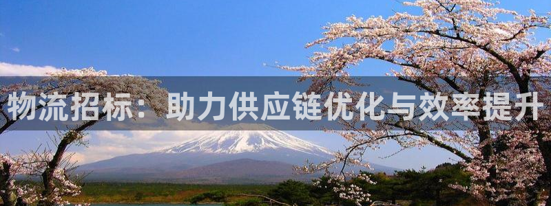 豪门国际怎么下载：物流招标：助力供应