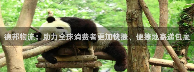 豪门国际平台注册：德邦物流：助力全球