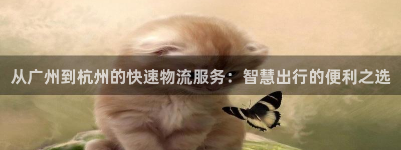 豪门国际提现不到账：从广州到杭州的快