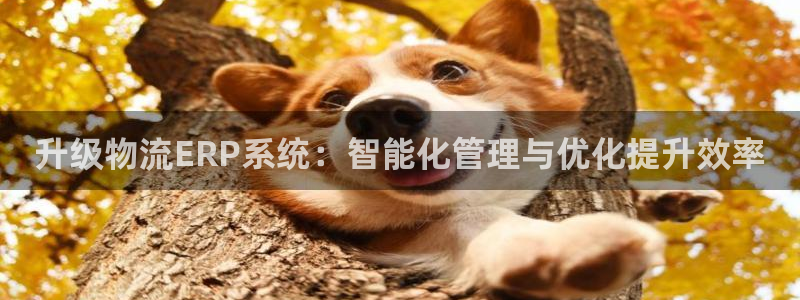 豪门国际加拿大下载