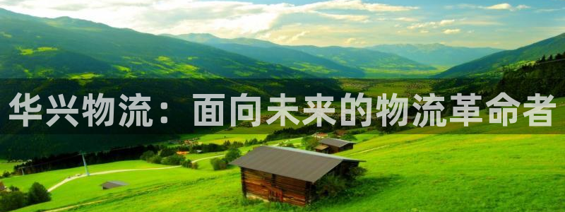 豪门国际注册问一问：华兴物流：面向未来的物流革命者