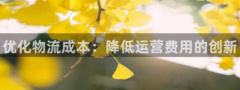 豪门国际比特28预测在线预测：优化物