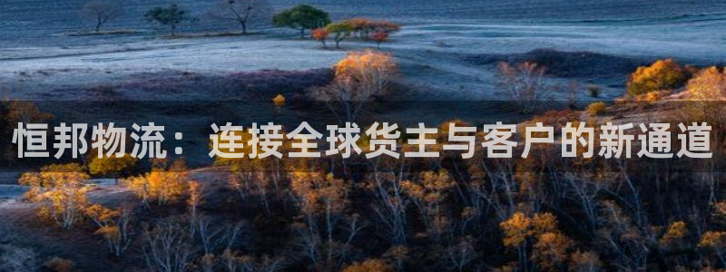 豪门国际游戏官网入口：恒邦物流：连接