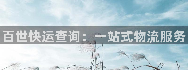 豪门国际初始资金密码在哪里改：百世快