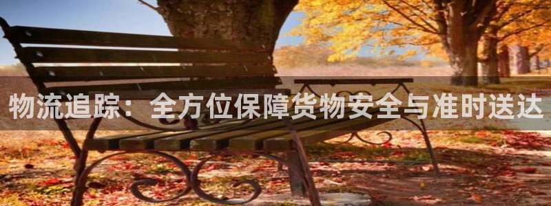 豪门国际是干嘛的：物流追踪：全方位保