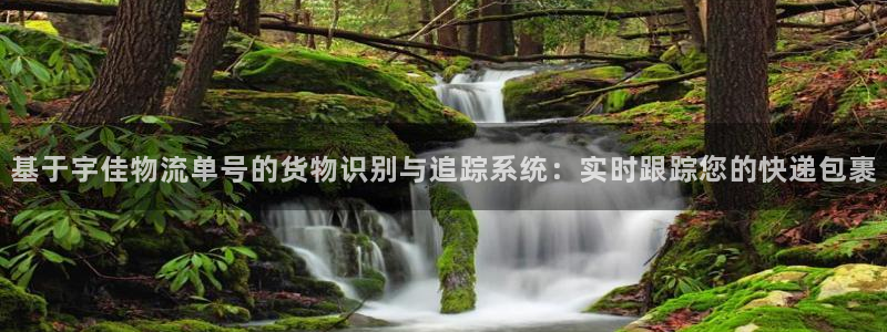 豪门国际官网平台：基于宇佳物流单号的