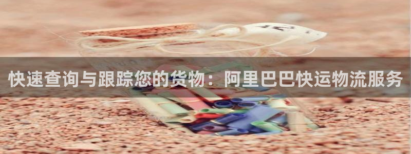 豪门国际女王中奖记录查询：快速查询与