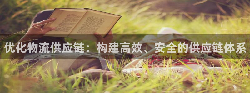 豪门国际预测：优化物流供应链：构建高