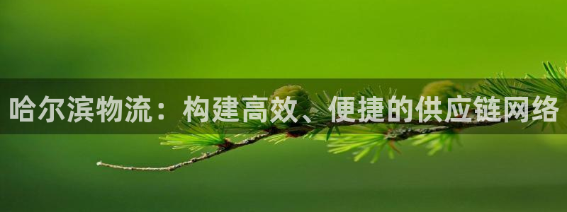 豪门国际登录用户名登录不上：哈尔滨物