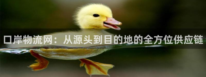 豪门国际官网开奖结果预测：口岸物流网：从源头到目的地的全方位