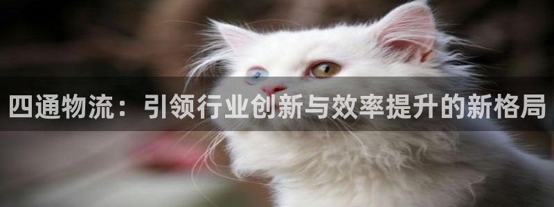 豪门国际加拿大能提现吗：四通物流：引