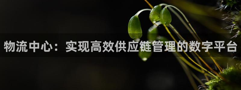 豪门国际软件总是闪退怎么回事：物流中